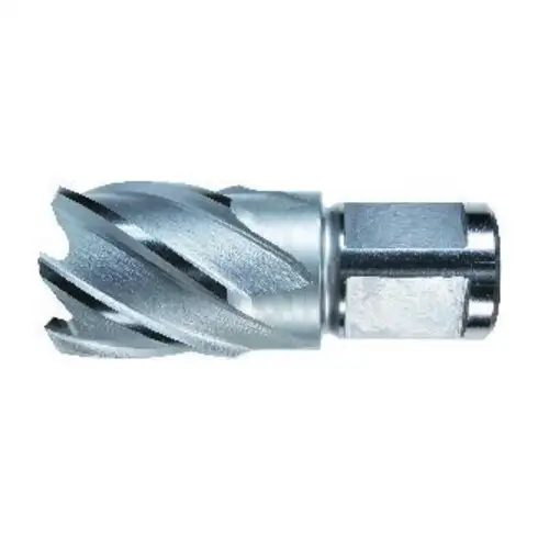 ALFRA Foret trépan HSS 19/50 mm