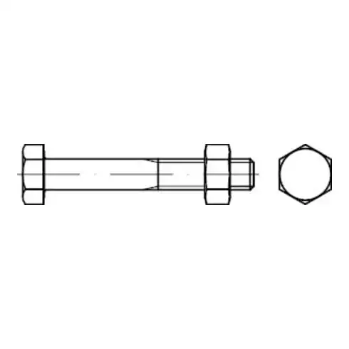 Bauschrauben avec écrou, galvanisés M20x170 HP