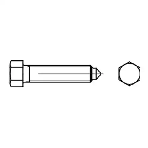 DIN 564 Vis hexagonale, filetage jusqu'à la tête, 8.8 B M12x60 HP