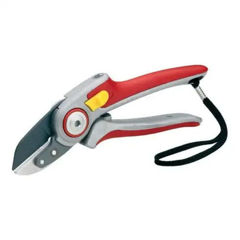 WOLF-Garten Sécateur de jardin RS 5000 PROFESSIONAL